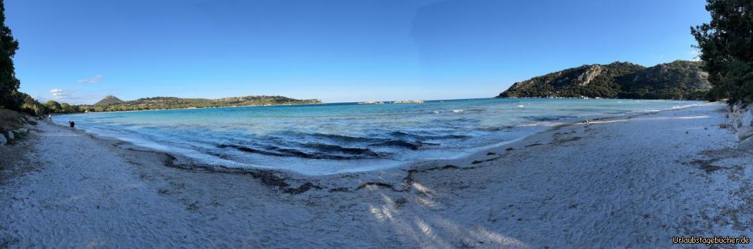 Strand 1: 
