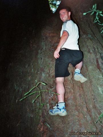 Red Wood: Ich an einem Red Wood (Baum)