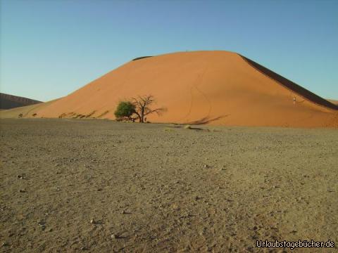 Aussichtsdüne 45: ein letzter Blick zurück zur Aussichtsdüne 45
(wir waren ganz da oben)