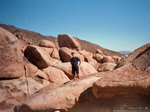 ich aufm Felsen: die verrückten Felsen des Joshua Tree National Parks
und der verrückte Ich auf einem der selbigen