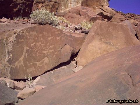 Felsmalerein: die Felsmalerein von Twyfelfontein