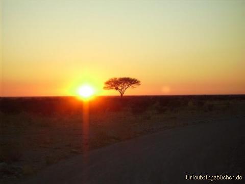 Sonnenaufgang: Sonnenaufgang über dem Etosha Nationalpark