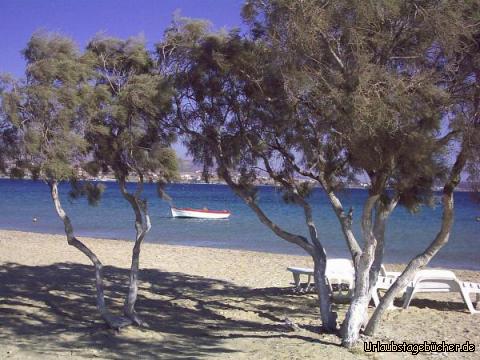 Strand von Antiparos: der Strand von Antiparos