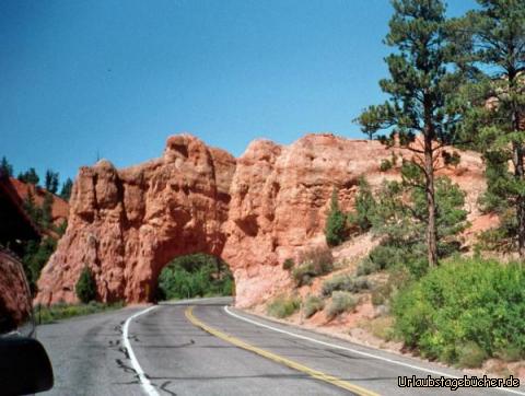 Red Canyon: wir fahren durch den Red Canyon
(im wahrsten Sinne des Wortes)