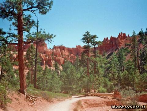 Bryce Canyon: der Bryce Canyon