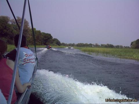 Fahrt ins Okawango Delta: unsere rasante Fahrt ins Okawango Delta