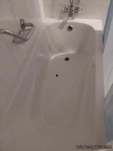 Mitbewohner: leider wohnen wir nicht ganz allein in unserem Zimmer im Hotel Sliema in Sliema, 
aber Mitbewohner Kaki ist alles andere als fit und lässt sich leicht entsorgen