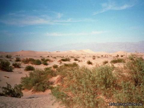 Mesquite Flats: die Mesquite Flats Sanddünen im Death Valley