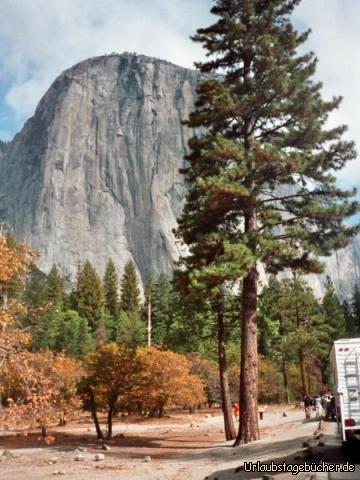 El Capitan: der El Capitan – eine etwa 1km hohe Felswand im Yosemite National Park