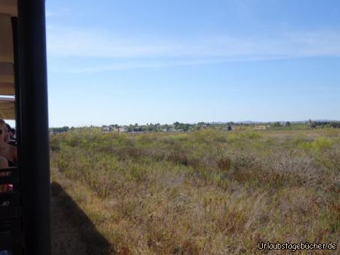 Zug auf der Ilha de Tavira: Zug auf der Ilha de Tavira