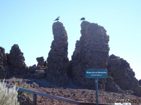 Am Roque de los Muchachos angekommen: Am Roque de los Muchachos angekommen