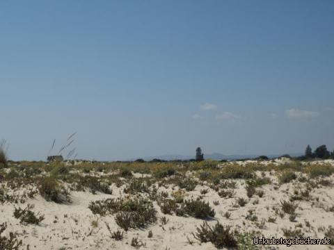 Dünen von Armona: Dünen von Armona