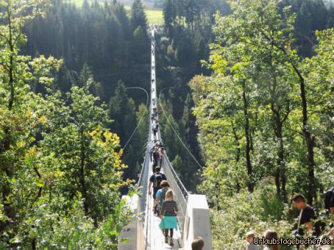 Schwindelfrei über die Hängebrücke Geierlay: Schwindelfrei über die Hängebrücke Geierlay