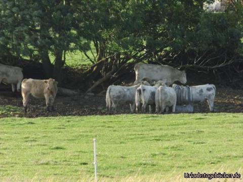 Die Eifel - tierisch gut: Die Eifel - tierisch gut