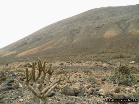 Impressionen auf dem Weg zum Mirador de los Canarios : 