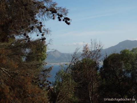 Die Straße führt auf den Monte Pellegrino: 