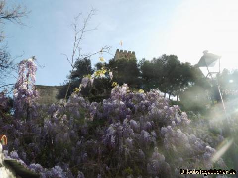 Castell in Fuengirola: Castell in Fuengirola