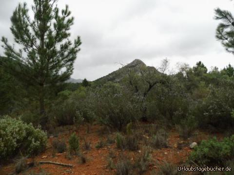 Wanderweg in der Sierra Blanca: Wanderweg in der Sierra Blanca