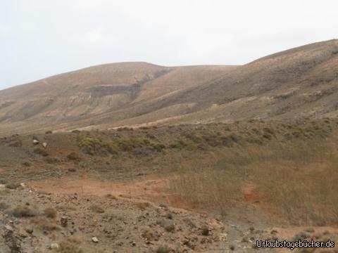 Fahrt zurück vom Mirador de los Canarios: Fahrt zurück vom Mirador de los Canarios