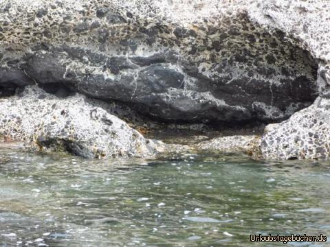 Schnorchelparadies Taralalejo: Schnorchelparadies Taralalejo