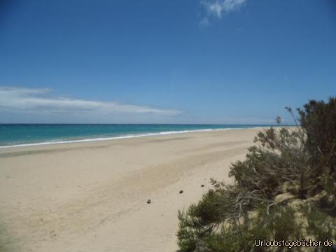 Traumstrand Risco de Paso: Traumstrand Risco de Paso