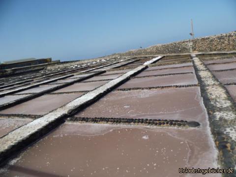 Salzfelder in Caleta de Fuste: Salzfelder in Caleta de Fuste