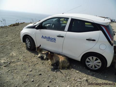 Parkplatzwächter an der Embros-Therme: Parkplatzwächter an der Embros-Therme