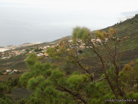 Fruchtbare Landschaft am San Antonio: Fruchtbare Landschaft am San Antonio