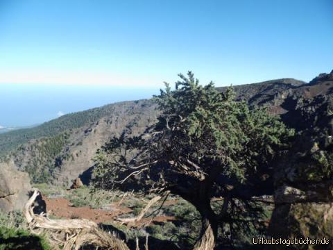 Abfahrt vom Roque de los Muchachos: Abfahrt vom Roque de los Muchachos