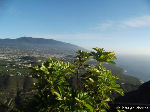 Mirador El Time: Mirador El Time