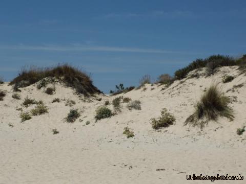 Reizvolle Landschaft auf der Ilha de Tavira: Reizvolle Landschaft auf der Ilha de Tavira