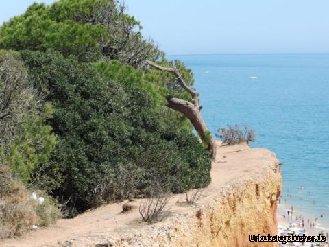 Schmaler Grat an der Praia de Falasia: Schmaler Grat an der Praia de Falasia