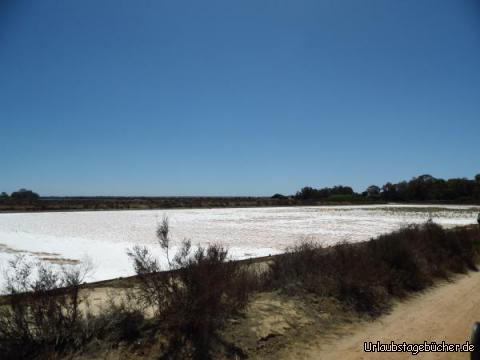 Salzlandschaft in der Algarve: Salzlandschaft in der Algarve