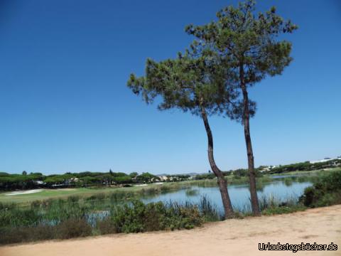 Faro Segway Tour: Faro Segway Tour