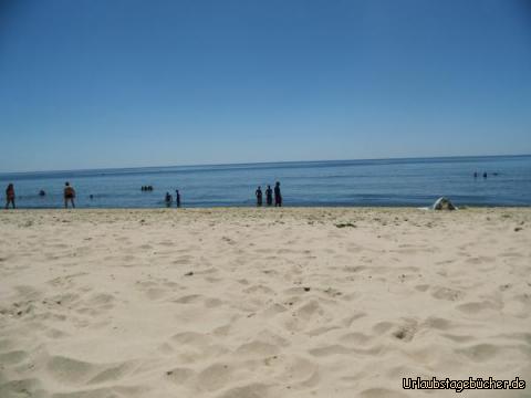 Strand bei Castro Marim: Strand bei Castro Marim