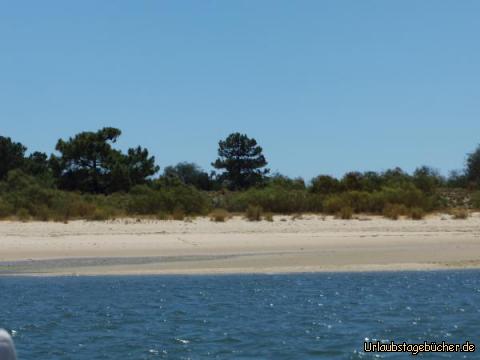 Ilha de Tavira voraus : Ilha de Tavira voraus 
