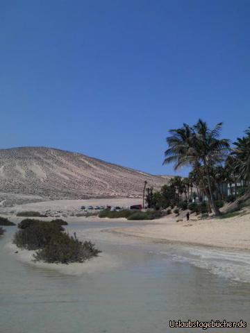 Paradies Playa de Sotavento: Paradies Playa de Sotavento