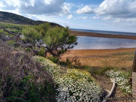 Wunderschöner Strand Binimel la: Wunderschöner Strand Binimel la