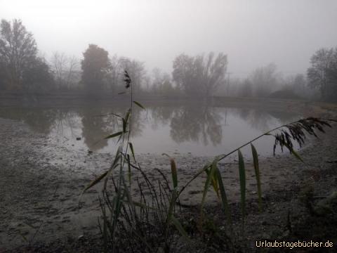 Herbststimmung am See: 