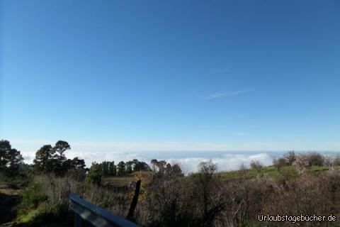 Mandelblüte auf La Palma: Mandelblüte auf La Palma