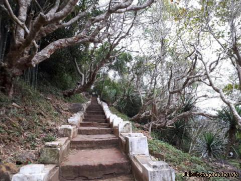 Weg auf den Hausberg von Luang Prabang: 