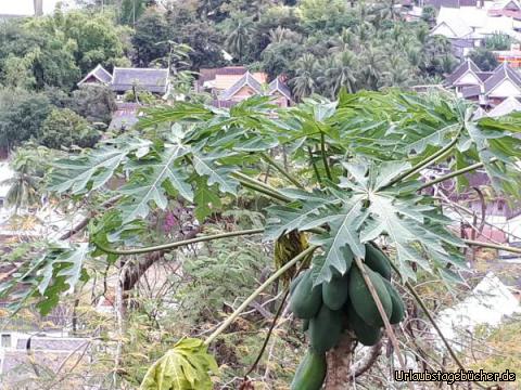 Luang Prabang 5: 
