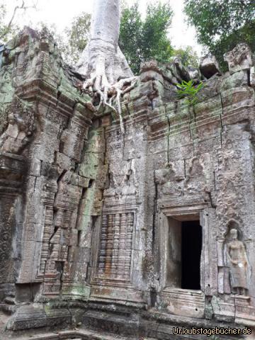 Tempel Ta Prohm 2: 