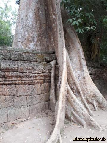 Tempel Ta Prohm 4: 