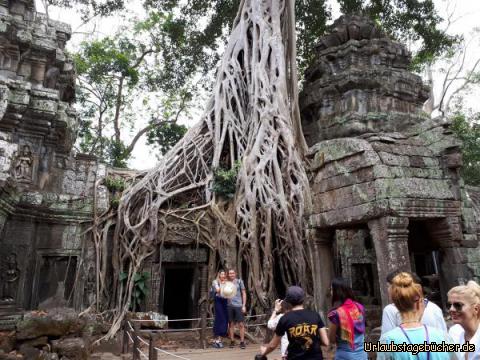 Tempel Ta Prohm 11: 