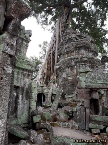 Tempel Ta Prohm 13: 