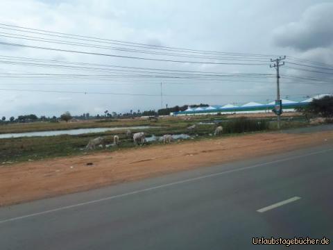 nach Sihanuokville 1: 