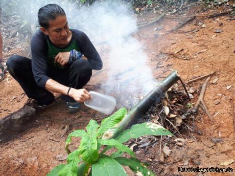 Urwald Koh Chang 10: 