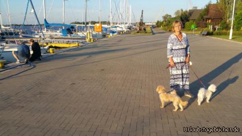 Stettin Hafen: Campingplatz Marina in Stettin