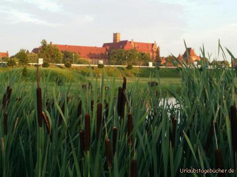 Marienburg: 